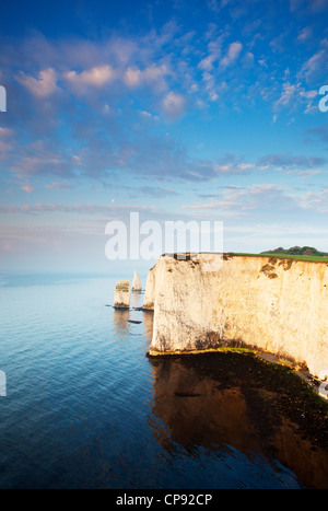 Blick auf Pinnacle Felsnadeln, Kreide-Stacks ragt in den Ärmelkanal, Jurassic Coast, Handfast Point, Dorset UK Stockfoto