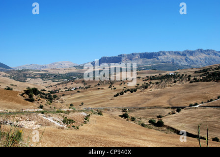 Weizen-Felder mit El Torcal Berge auf der Rückseite, in der Nähe von Almogia, Provinz Malaga, Andalusien, Spanien, Westeuropa. Stockfoto