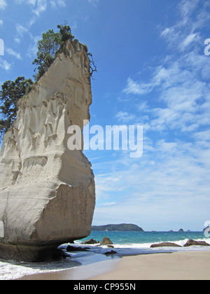 Te Whanganui-A-Hei oder Cathedral Cove auf der Coromandel Penisular, Neuseeland. Stockfoto