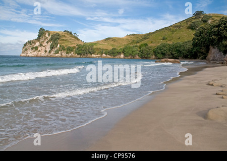 Hahei Strand, in der Nähe von Whitianga an der Pazifikküste der Coromandel-Halbinsel. Neuseeland Stockfoto