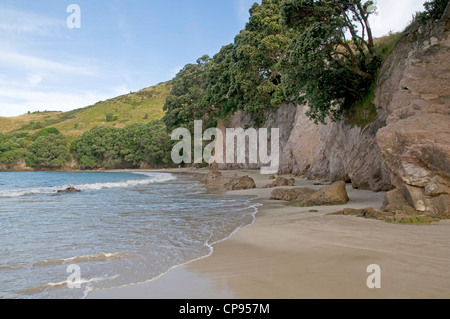 Hahei Strand, in der Nähe von Whitianga an der Pazifikküste der Coromandel-Halbinsel. Neuseeland Stockfoto