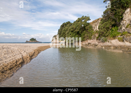 Bach trifft das Meer am Strand von Hahei, in der Nähe von Whitianga an der Pazifikküste der Coromandel-Halbinsel. Neuseeland Stockfoto