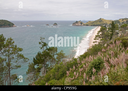 Hahei Strand, in der Nähe von Whitianga an der Pazifikküste der Coromandel-Halbinsel. Neuseeland Stockfoto