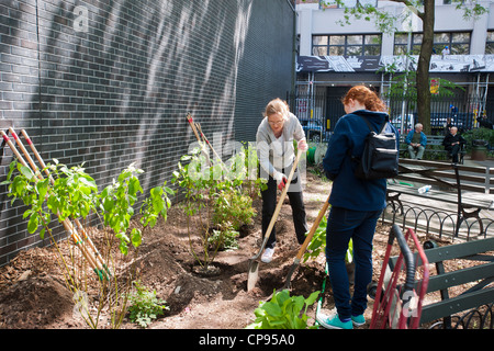 Freiwillige Blumen Pflanzen und eine allgemeine Aufräumen von Spielplatz im Stadtteil Chelsea in New York Stockfoto