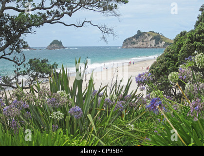 Hahei Strand, in der Nähe von Whitianga an der Pazifikküste der Coromandel-Halbinsel. Neuseeland Stockfoto