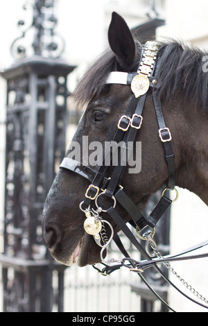 Pferd-Wachposten am Horseguards Parade ground Stockfoto