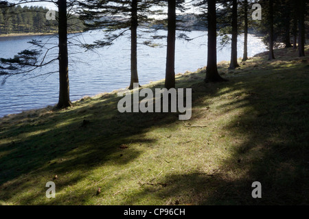 Stausee im Derwent Valley Peak District National Park Midlands England uk Stockfoto