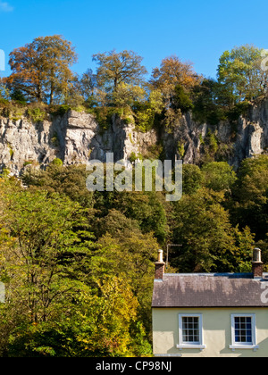 Kalksteinfelsen beliebt bei Kletterern in Matlock Bath Dorf Derbyshire Peak District England UK mit Cottage vor Stockfoto