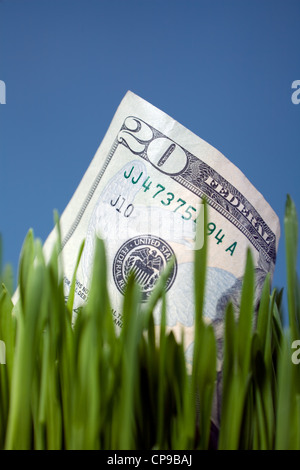 Zwanzig Dollarschein wächst Gras Stockfoto