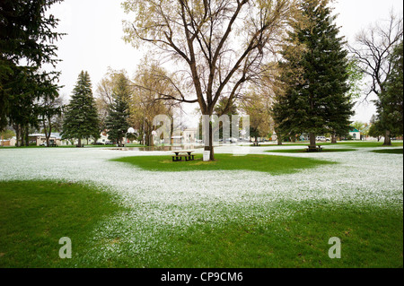 Früh kann Schneesturm, Alpine Park, die historische Altstadt, kleinen Berg Stadt Salida, Colorado, USA Bezirk Stockfoto