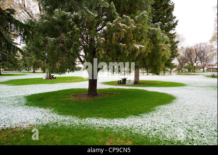 Früh kann Schneesturm, Alpine Park, die historische Altstadt, kleinen Berg Stadt Salida, Colorado, USA Bezirk Stockfoto