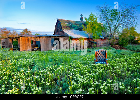 Abandon Hof und Scheune links ist ein Stuhl in einem Feld von Blumen Stockfoto