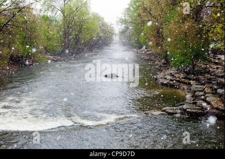 Der Arkansas River, Anfang Mai Schneesturm, zieht sich durch die historische Innenstadt, kleiner Berg Stadt Salida, Colorado Stockfoto