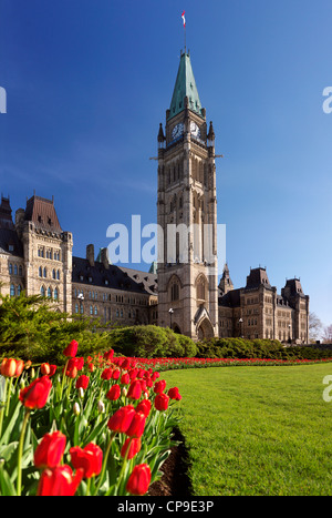 Tulpen vor dem Parlamentsgebäude in Ottawa. Tulpenfest. Ontario, Kanada Frühling landschaftlich Mai 2012 Stockfoto