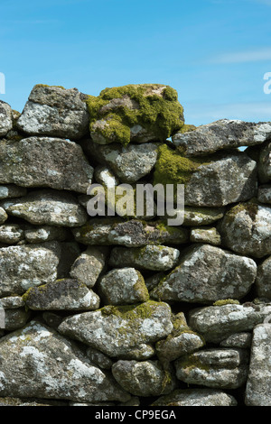 Trocknen der Steinmauer, Dartmoor National Park, Devon, England Stockfoto