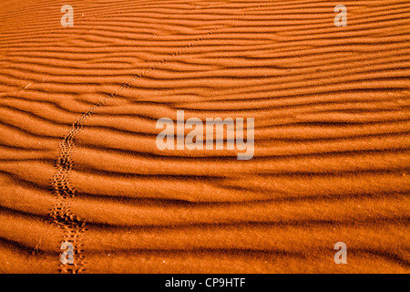 Wellen im Sand, Wadi Rum, Jordanien Stockfoto