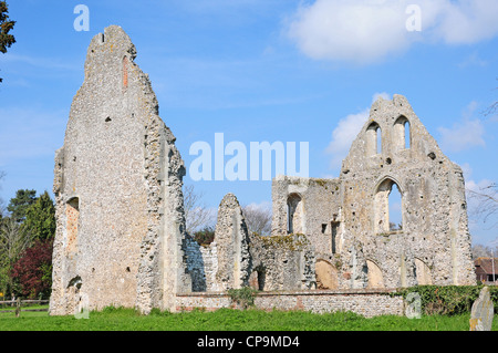 Der Gast Haus Ruinen, Skelettteile Priory. Stockfoto