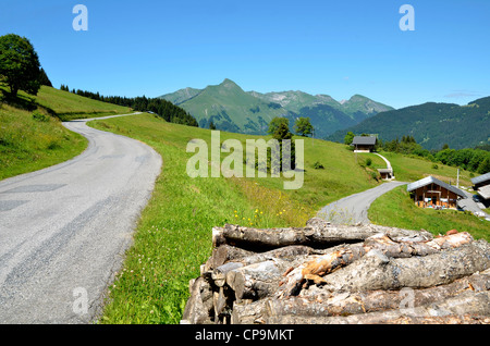 Straße in den Alpen in der Nähe von Morzine-Avoriaz in Frankreich mit einem Haufen von Protokollen Stockfoto