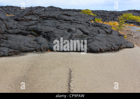 Straße gesperrt im Hawaii Volcanoes National Park, This Big Island, Hawaii. Straße nach Lavastrom über die Straße geschlossen. Stockfoto