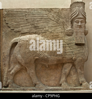 Geflügelten menschlichen Leitung Bull Neo-assyrischen Palast von Sargon II 721-705 v. Chr. gate Khorsabad alten Dur Sharrukin Assyrien Irak Stockfoto