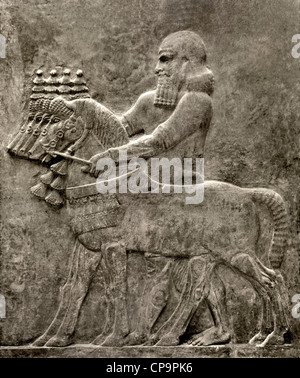 Neo-assyrisches architektonisches Wandrelief, das den Bräutigam zeigt, der eine Mannschaft von Pferden unter König Sargon II. Von 721 bis 705 v. Chr. im Khorsabad Irak führt. Stockfoto