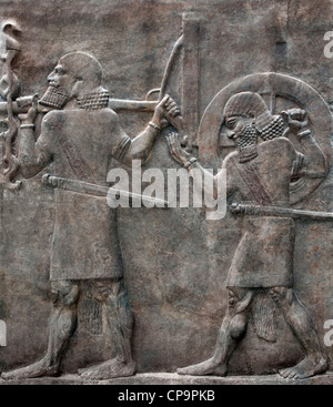 Neo-assyrisches Steinrelief zeigt Soldaten mit einem Kriegswagen, Herrschaft von König Sargon II. 721–705 v. Chr. Palast Chorsabad alte Dur Sharrukin Irak Stockfoto