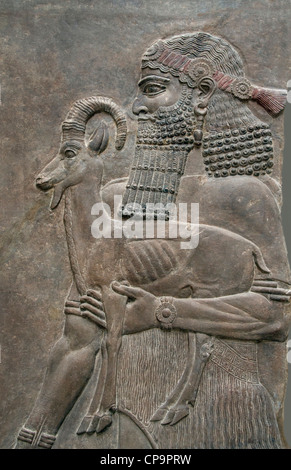 Neo-Assyrianalabaster Wall Panel Court offizieller Schutzgeist mit Steinbock Mohnblumenzweig Palast von Sargon II in Khorsabad, 721-705 v. Chr Stockfoto