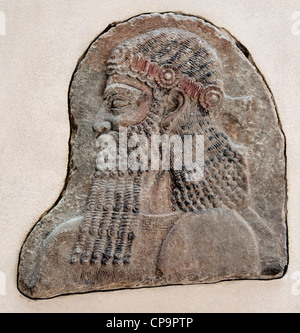 Mesopotamische Gipswandpaneel der neo-assyrische König Sargon II. Hielt Stab, während er vor dem offiziellen Würdenträger-Palast Khorsabad, 721-705 v. Chr. sprach Stockfoto