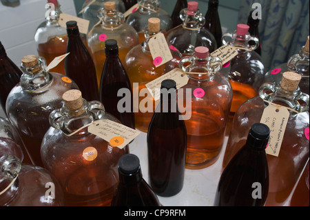 Bauernhaus und hausgemachten Apfelwein Festival THE BIG APPLE BLOSSOMTIME im Dorfsaal Putley in der Nähe von Hereford Herefordshire England UK Stockfoto