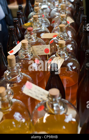 Bauernhaus und hausgemachten Apfelwein Festival THE BIG APPLE BLOSSOMTIME im Dorfsaal Putley in der Nähe von Hereford Herefordshire England UK Stockfoto