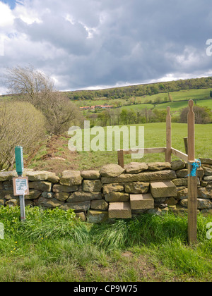 Öffentlichen Fußweg mit einem Schritt-Stil über eine Trockensteinmauer in Fryup Dale in North Yorkshire Moors Nationalpark im Frühjahr