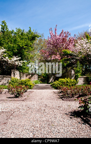 Schöne Blumen sind auf die Bäume gesehen, die im formalen Frühlingsgarten blühen. Der Rosenbusch stehen im Vordergrund. Stockfoto