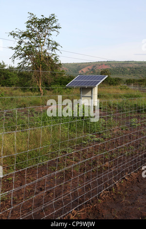 Der Elektrozaun um die Grenze der Akagera-Nationalpark, Ruanda gebaut wird. Stockfoto