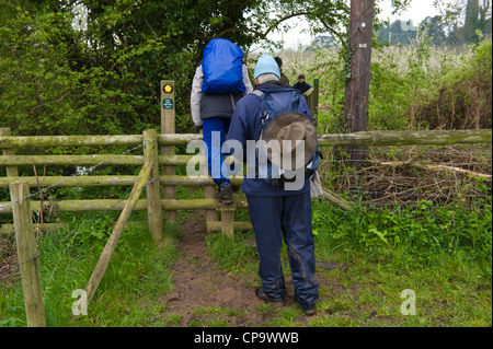 Geführte Wanderung rund um Cider Apple Obstgärten Teil von THE BIG APPLE BLOSSOMTIME Festival im Dorf Putley in der Nähe von Hereford Herefordshire England UK Stockfoto