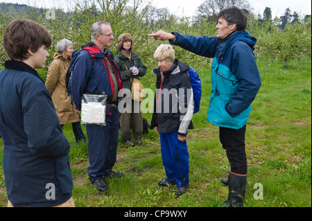 Geführte Wanderung rund um Cider Apple Obstgärten Teil von THE BIG APPLE BLOSSOMTIME Festival im Dorf Putley in der Nähe von Hereford Herefordshire England UK Stockfoto