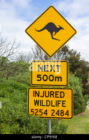 Hüten Sie sich vor Kängurus Straßenschild, zwischen Torquay und Lorne, Great Ocean Road, Victoria, Australien