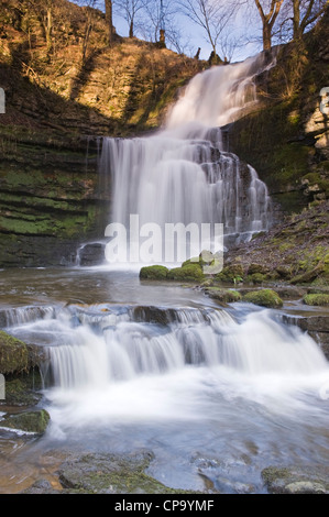 Scaleber Kraft Wasserfall im idyllischen ruhigen Landschaft (stream Wasser über felsige Klippe fließen in den Teich in der Nähe von Settle, Yorkshire Dales, England, UK). Stockfoto