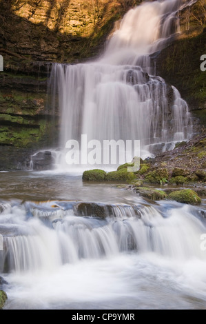 Scaleber Kraft Wasserfall im idyllischen ruhigen Landschaft (stream Wasser über felsige Klippe fließen in den Teich in der Nähe von Settle, Yorkshire Dales, England, UK). Stockfoto