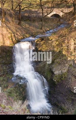 Scaleber Kraft Wasserfall im idyllischen ruhigen Landschaft (stream Wasser über felsige Klippe fließen in den Teich in der Nähe von Settle, Yorkshire Dales, England, UK). Stockfoto