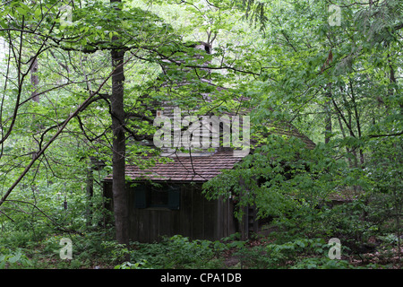 A cabin in the woods. Stockfoto