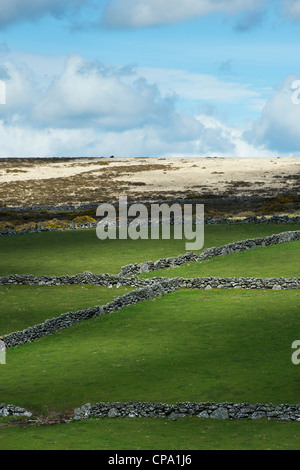 Devon Trockenmauern. Dartmoor-Nationalpark. England Stockfoto