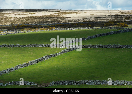 Devon Trockenmauern. Dartmoor-Nationalpark. England Stockfoto