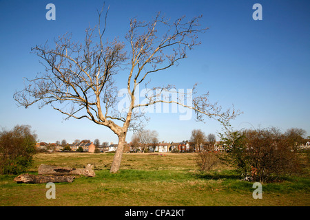 Wanstead Wohnungen mit Blick auf Gebüsch-Road, Leytonstone, London, UK Stockfoto