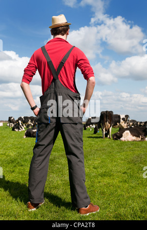Typische holländische Landschaft mit Bauern und schwarz-weiß Kühe auf den Wiesen Stockfoto