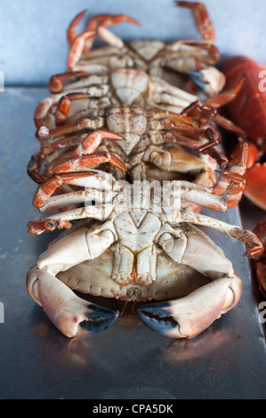 Gekochte Krabben für den Verkauf auf einen Fisch stand auf Aldeburgh Suffolk UK Stockfoto