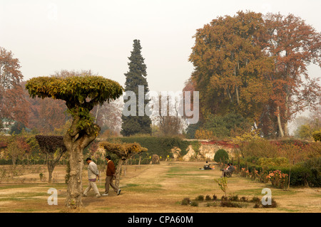 Shalimar Gärten, Dal-See, Srinagar, Kaschmir, Indien Stockfoto