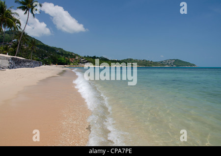 Thailand, Insel Ko Samui (aka Koh Samui), Chaweng Beach. beliebte Strand am Golf von Thailand. Stockfoto