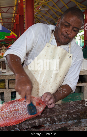 Mann Fischmarkt Entkalkung frische Red Snapper in den Sir Selwyn Clark Fisch, Victoria, Mahé, Seychellen Stockfoto