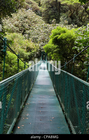 Hängebrücke im Selvatura Park, Monteverde Costa Rica Stockfoto