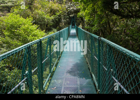 Hängebrücke im Selvatura Park, Monteverde Costa Rica Stockfoto